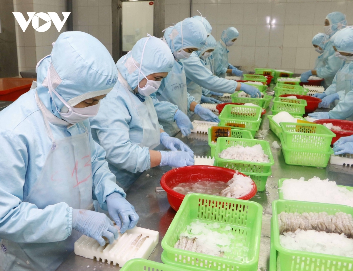 Seafood exports to UK record double-digit growth